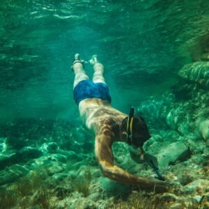 Island Explorer Experience